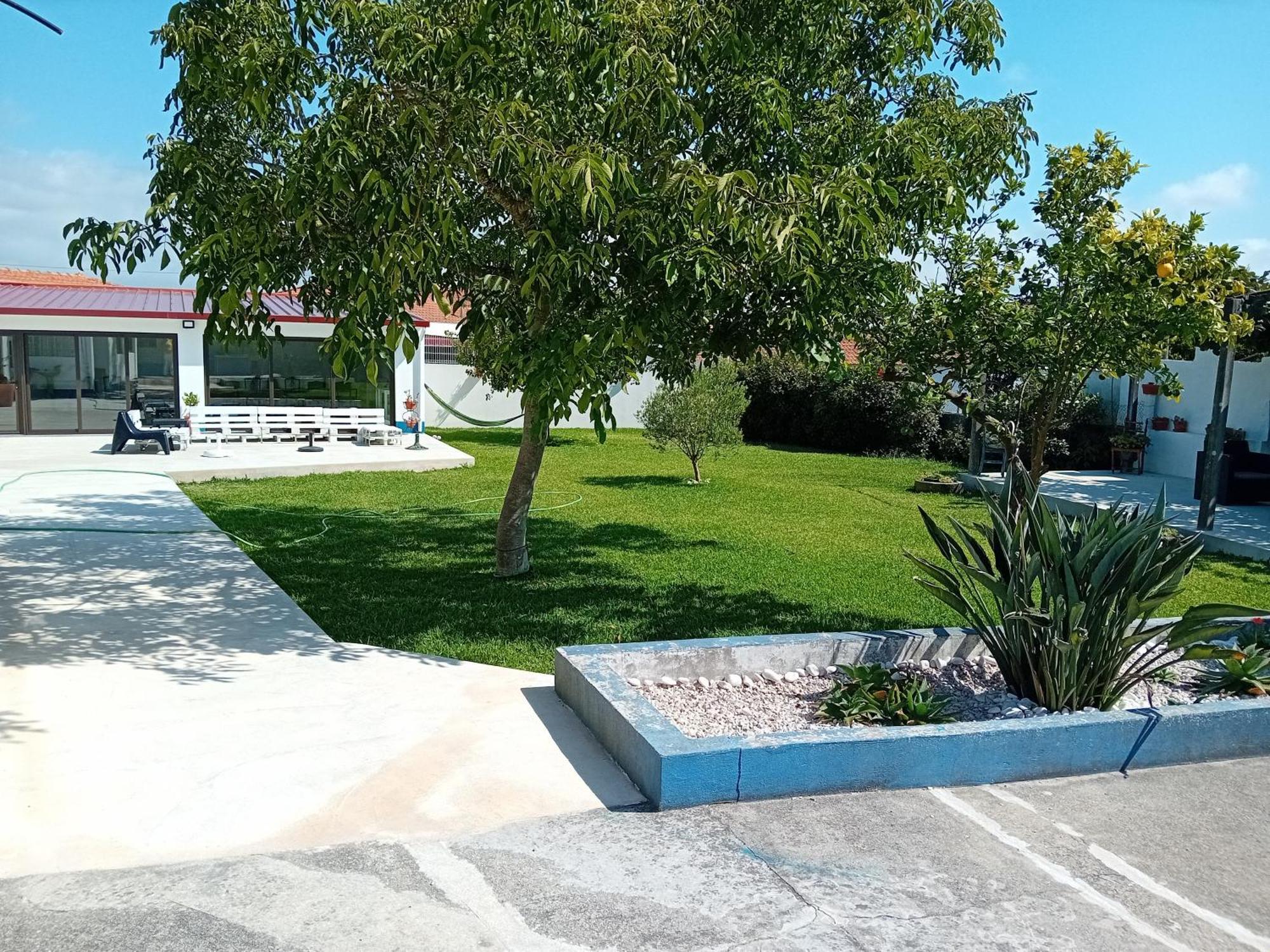Casa Dos Avos Veras Aveiro Kültér fotó