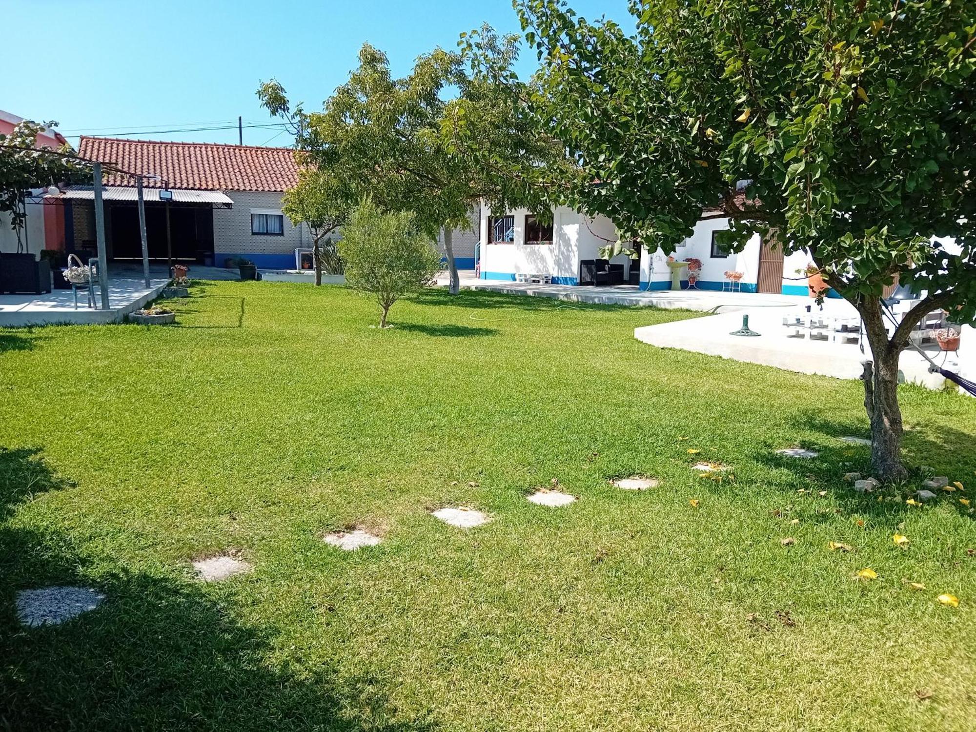 Casa Dos Avos Veras Aveiro Kültér fotó